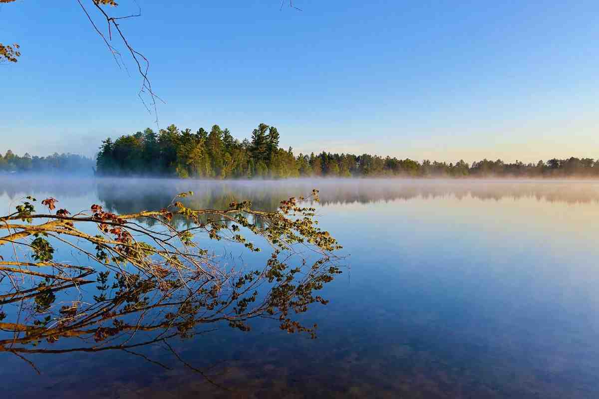 Parte boschiva attorno al Lago Michigan