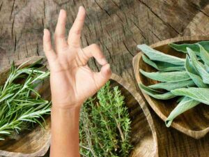 sfondo erbe aromatiche in ciotole e mano che fa ok