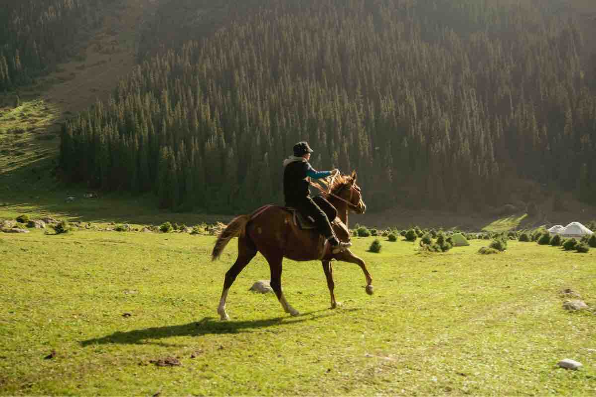 Persona a cavallo in Val di Cembra
