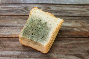 Pane pieno di muffa