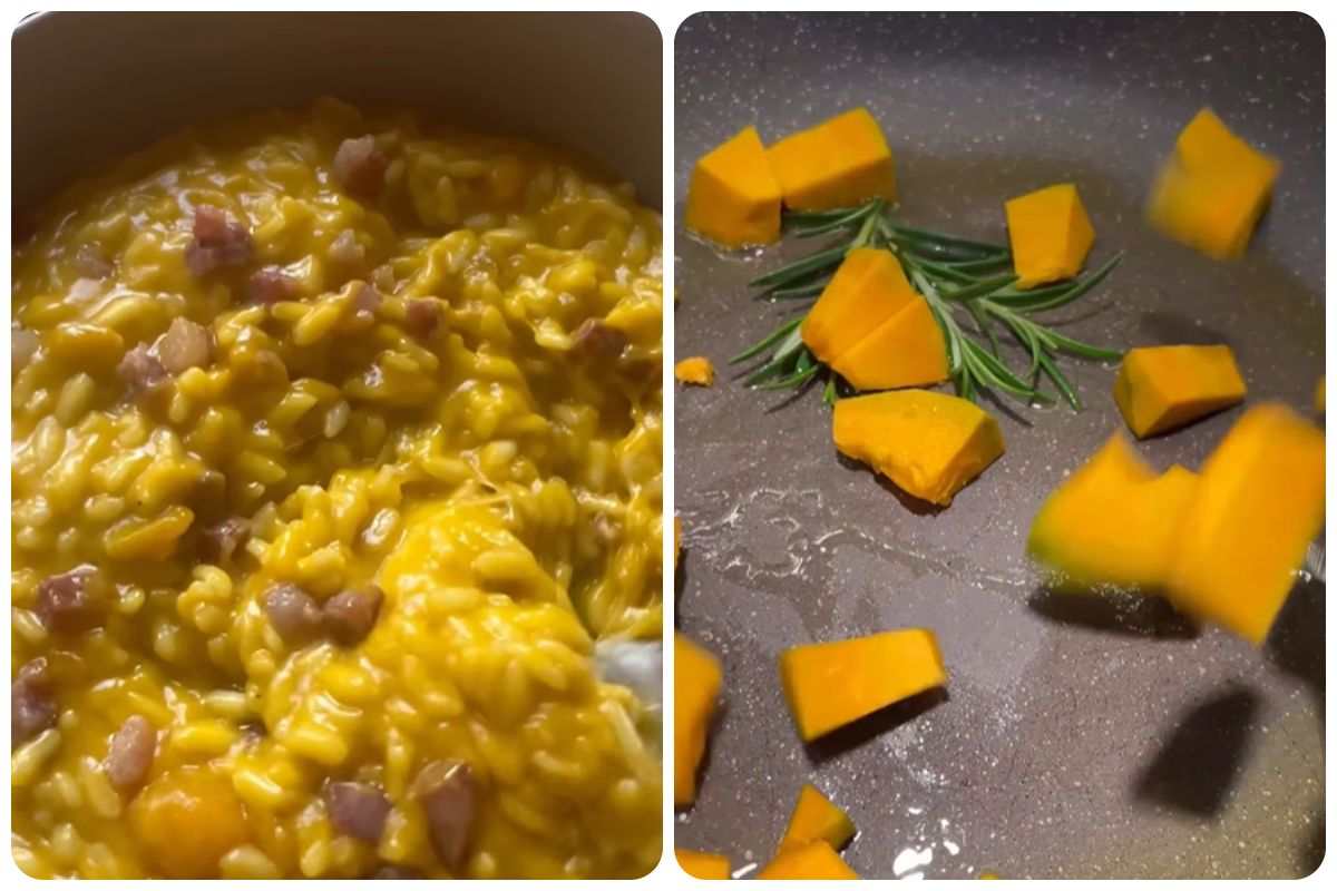Zucca